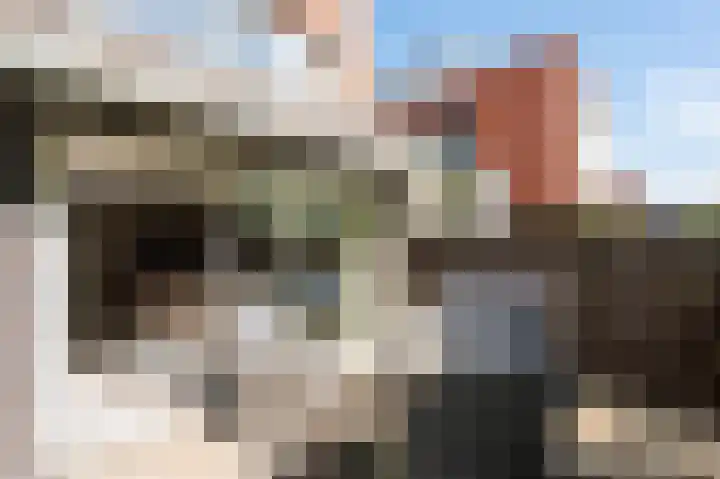Purperreiger 22 Ouderkerk aan de Amstel thumbnail 14