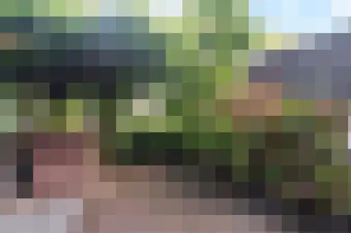 Purperreiger 22 Ouderkerk aan de Amstel thumbnail 15