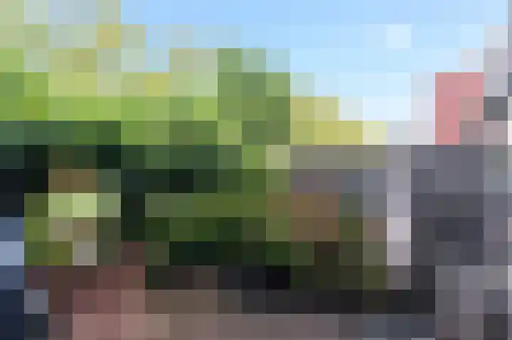 Purperreiger 22 Ouderkerk aan de Amstel thumbnail 16