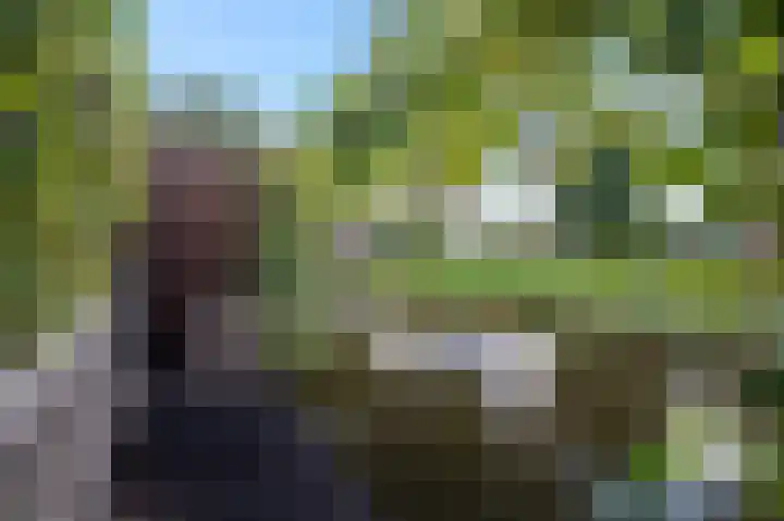 Purperreiger 22 Ouderkerk aan de Amstel thumbnail 18
