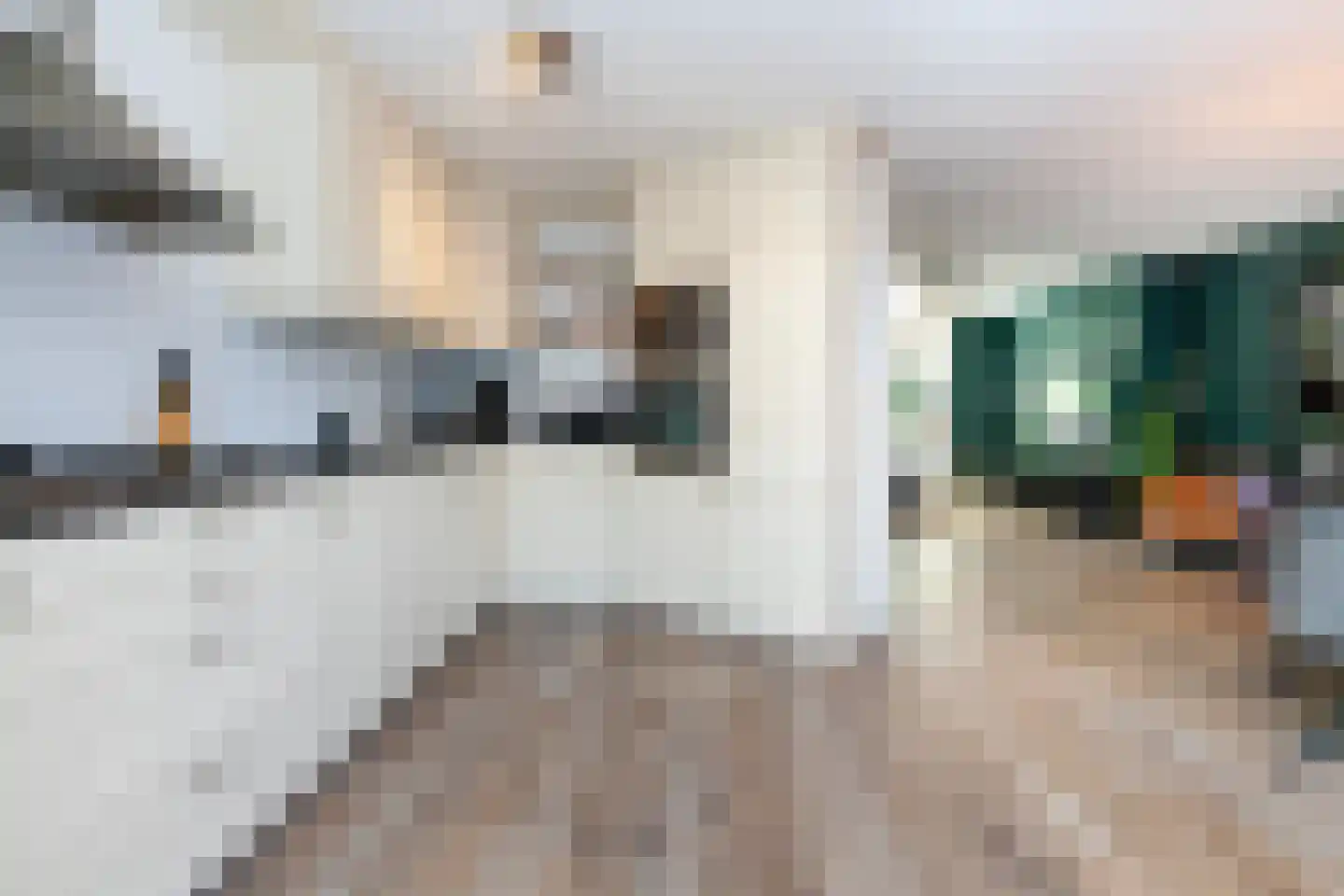 Purperreiger 28 Nieuw-Lekkerland thumbnail 13