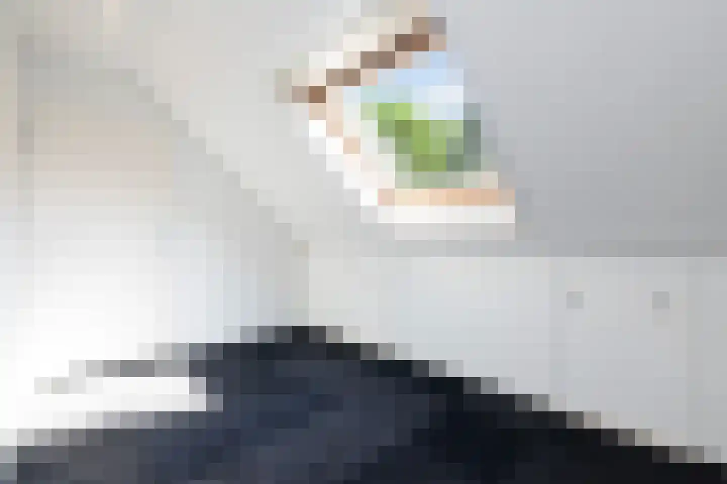 Purperreiger 28 Nieuw-Lekkerland thumbnail 32