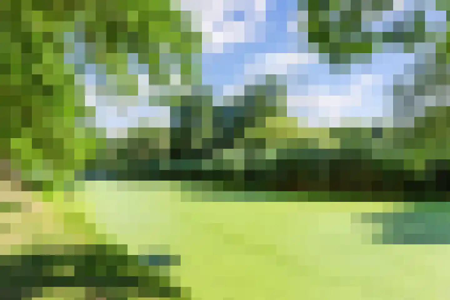 Purperreiger 28 Nieuw-Lekkerland thumbnail 38
