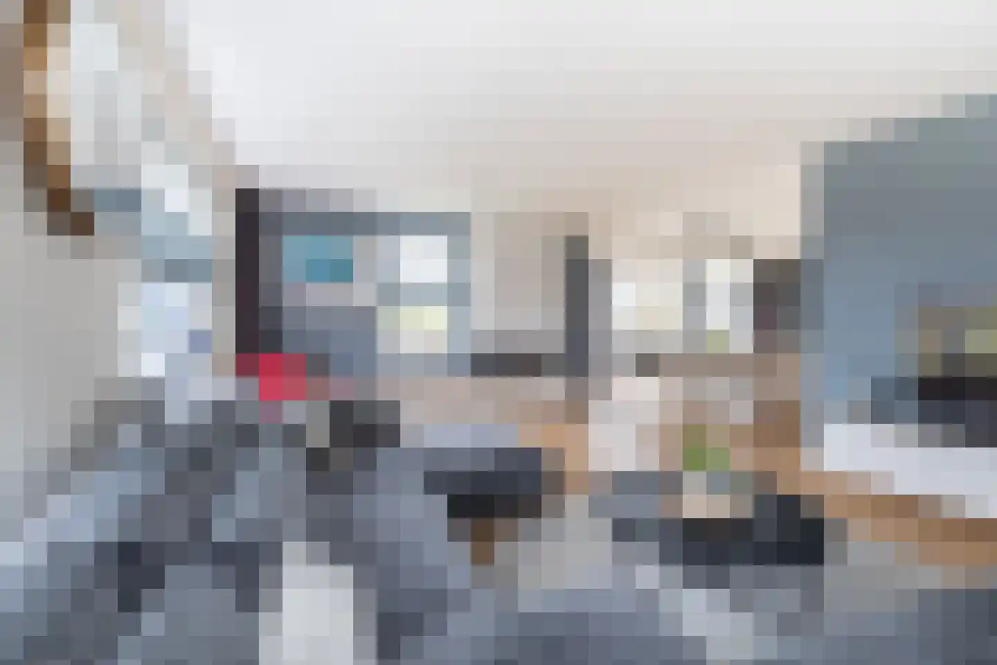 Purperreiger 32 Heerhugowaard thumbnail 5