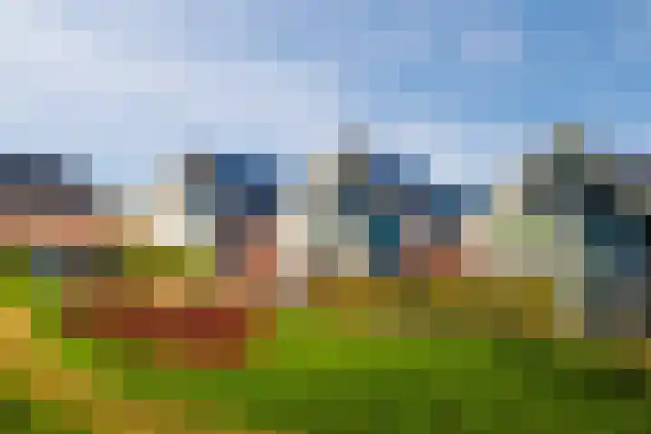 Purperreiger 33 Heerhugowaard thumbnail 42