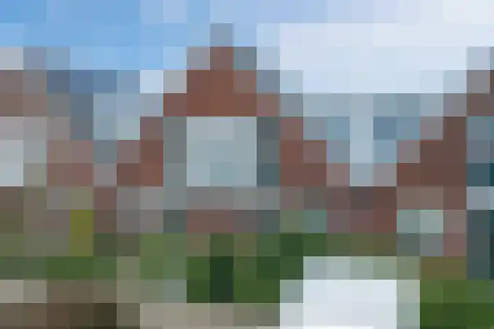 Purperreiger 33 Heerhugowaard thumbnail 46