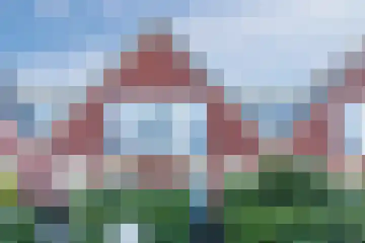 Purperreiger 33 Heerhugowaard thumbnail 47