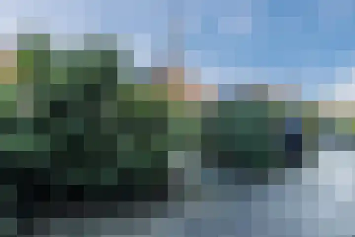 Purperreiger 33 Heerhugowaard thumbnail 48