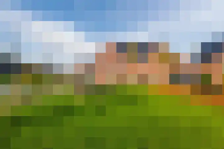 Purperreiger 33 Heerhugowaard thumbnail 49