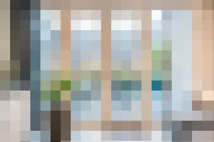Purperreiger 33 Heerhugowaard thumbnail 8