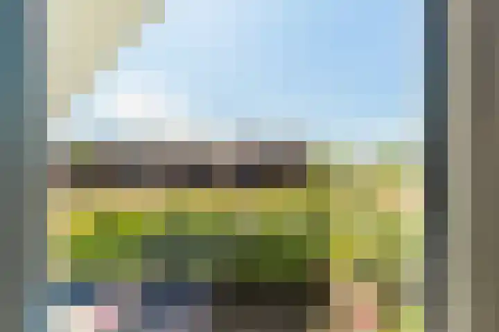 Purperreiger 35 Heerhugowaard thumbnail 23