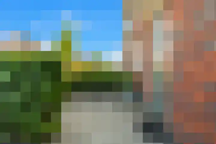 Purperreiger 35 Heerhugowaard thumbnail 34