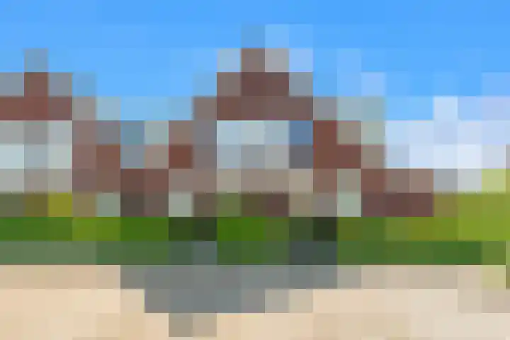 Purperreiger 35 Heerhugowaard thumbnail 35