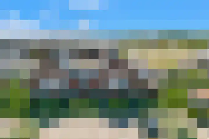 Purperreiger 35 Heerhugowaard thumbnail 38
