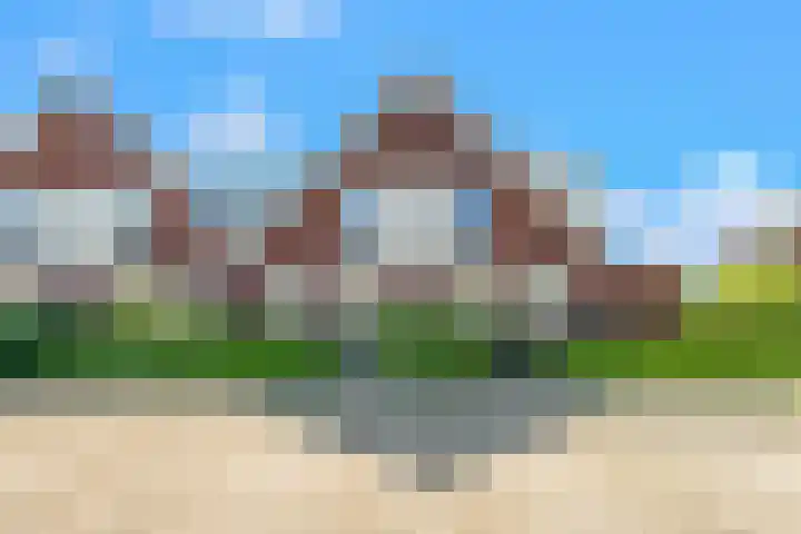 Purperreiger 35 Heerhugowaard thumbnail 47