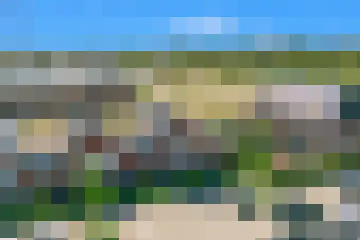 Purperreiger 35 Heerhugowaard thumbnail 5