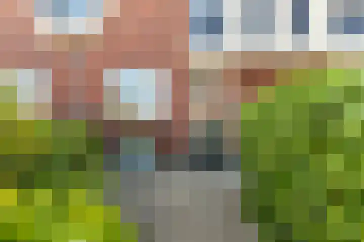 Purperreiger 35 Heerhugowaard thumbnail 6