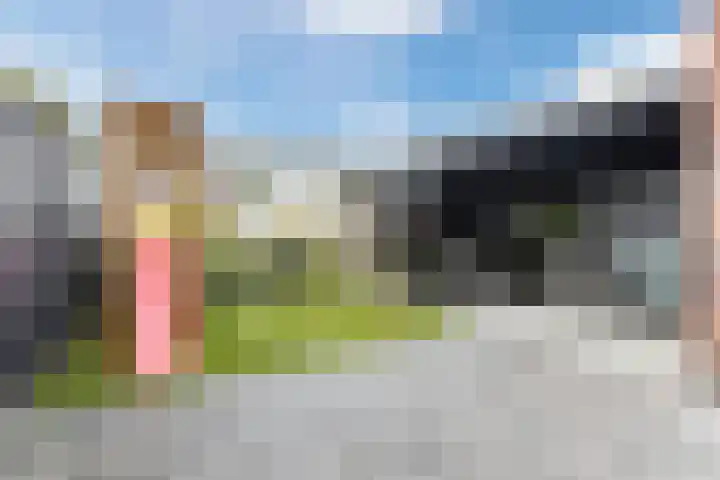 Purperreiger 37 Heerhugowaard thumbnail 35