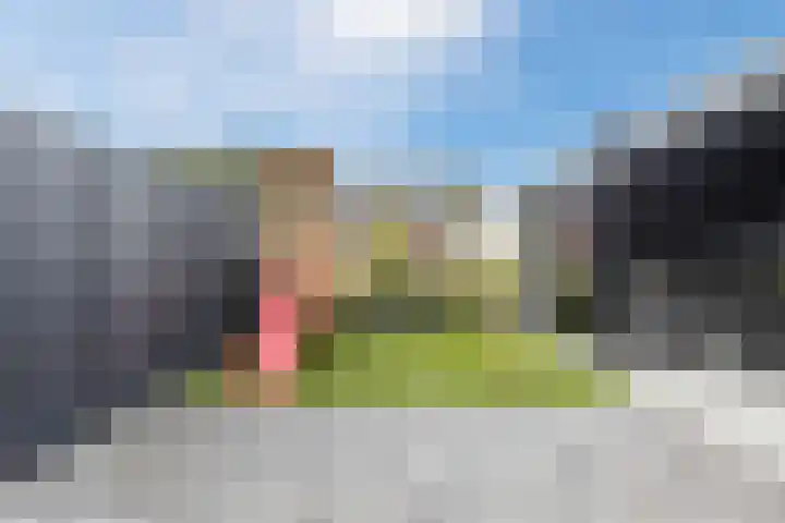 Purperreiger 37 Heerhugowaard thumbnail 37
