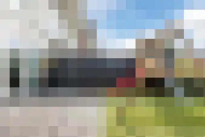 Purperreiger 37 Heerhugowaard thumbnail 38