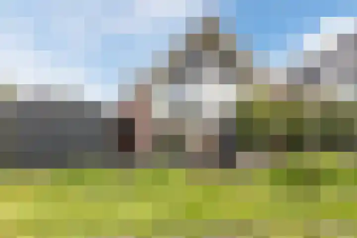 Purperreiger 37 Heerhugowaard thumbnail 39