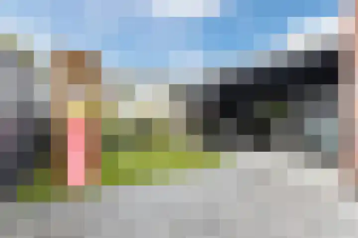 Purperreiger 37 Heerhugowaard thumbnail 4