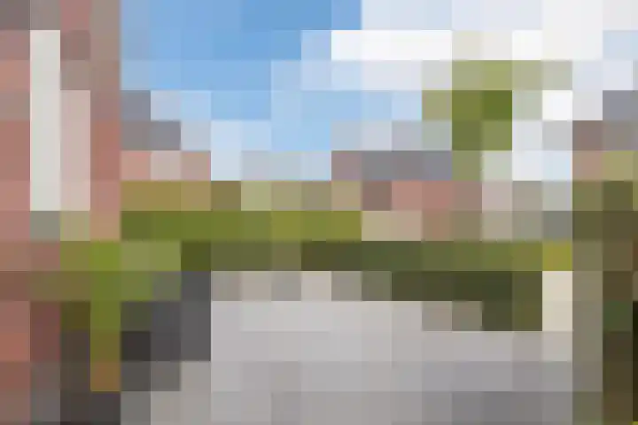 Purperreiger 37 Heerhugowaard thumbnail 41