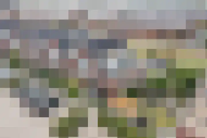 Purperreiger 37 Heerhugowaard thumbnail 45
