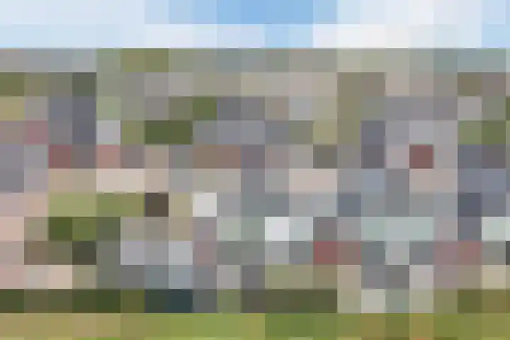 Purperreiger 37 Heerhugowaard thumbnail 47