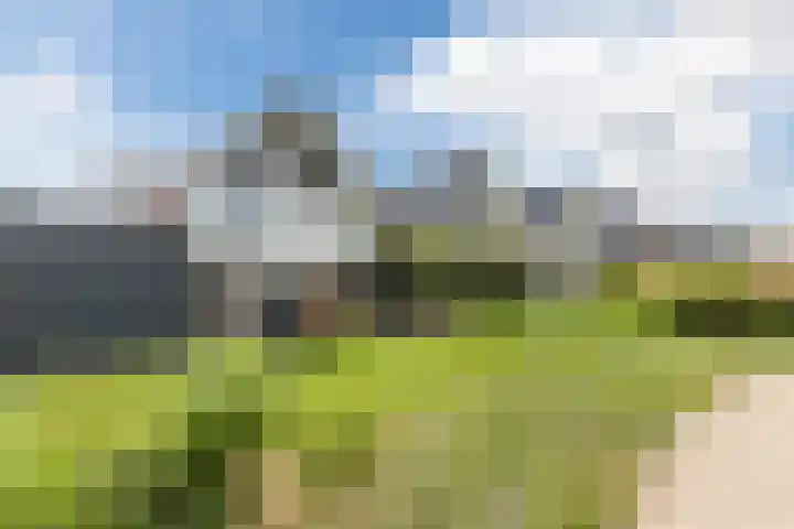 Purperreiger 37 Heerhugowaard thumbnail 48