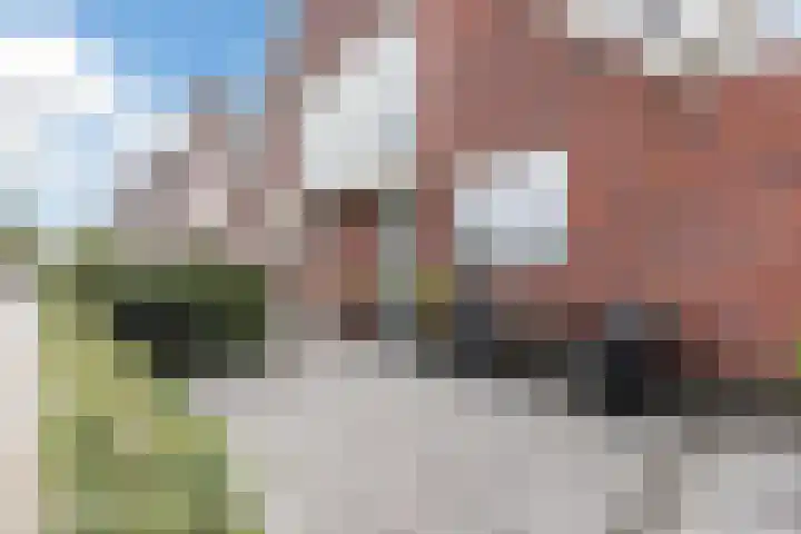Purperreiger 37 Heerhugowaard thumbnail 5