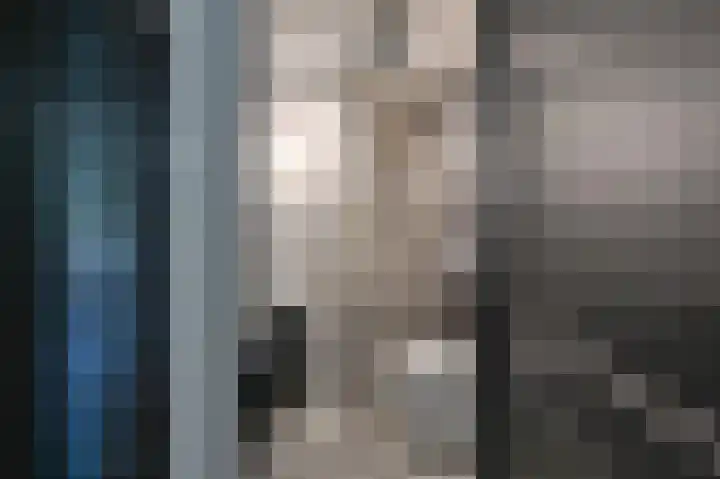 Purperreiger 5 Emmen thumbnail 10