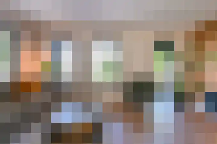 Purperreiger 5 Emmen thumbnail 15