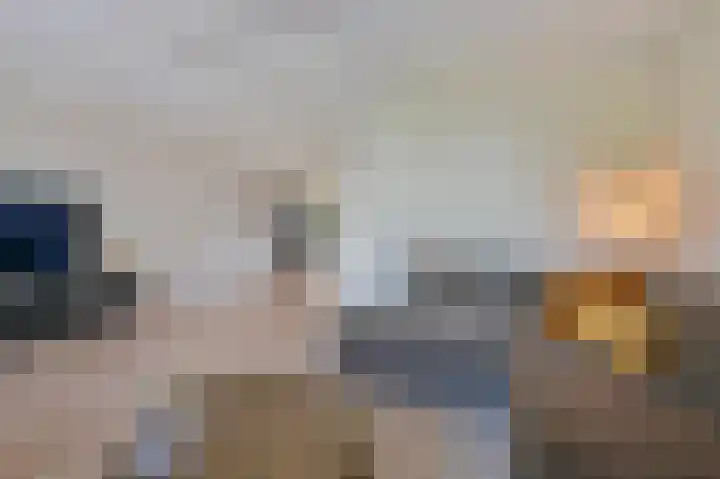 Purperreiger 5 Emmen thumbnail 17