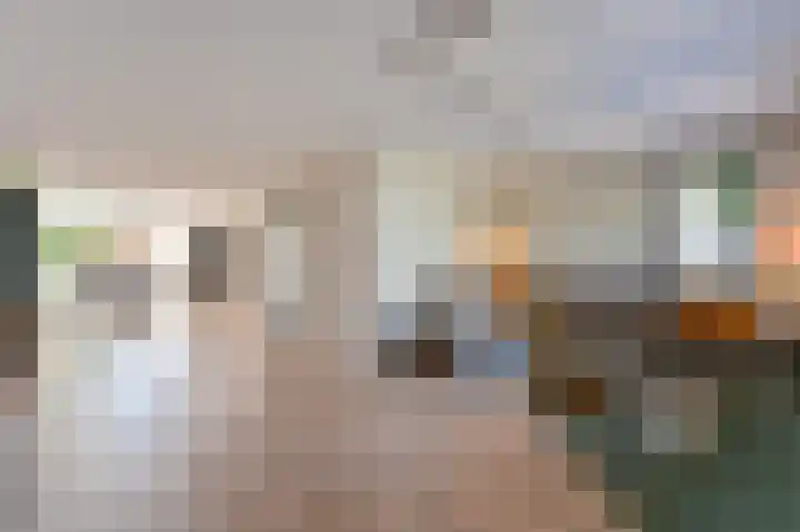 Purperreiger 5 Emmen thumbnail 20