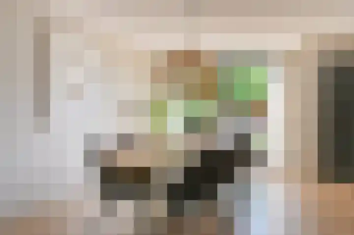 Purperreiger 5 Emmen thumbnail 22