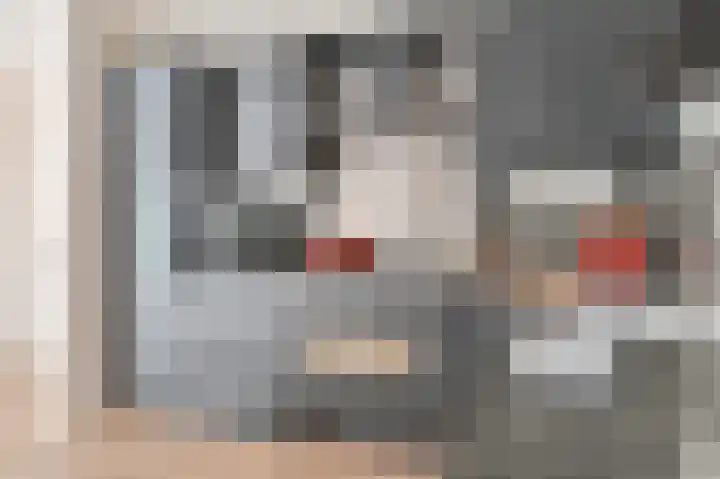 Purperreiger 5 Emmen thumbnail 30