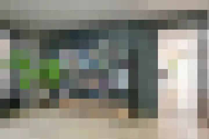 Purperreiger 5 Emmen thumbnail 35