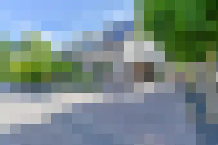 Purperreiger 5 Emmen thumbnail 4