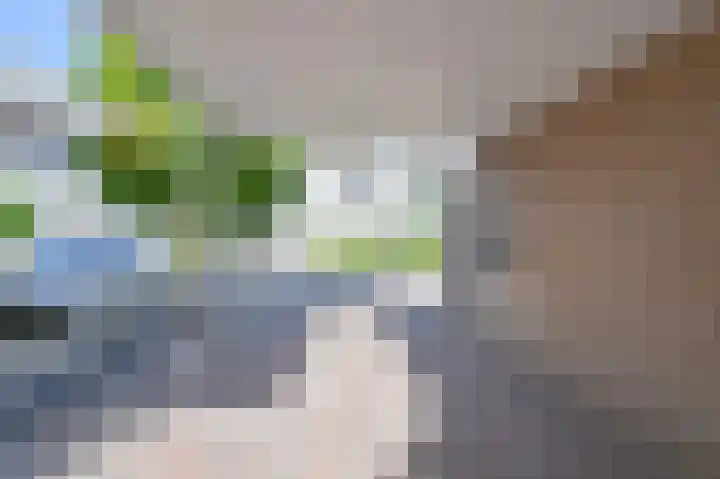 Purperreiger 5 Emmen thumbnail 6