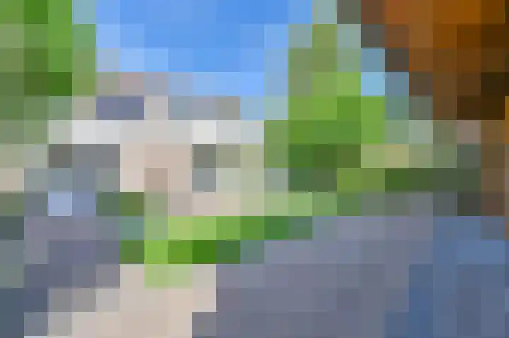 Purperreiger 5 Emmen thumbnail 67