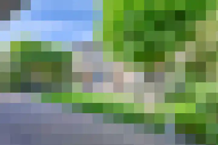 Purperreiger 5 Emmen thumbnail 68