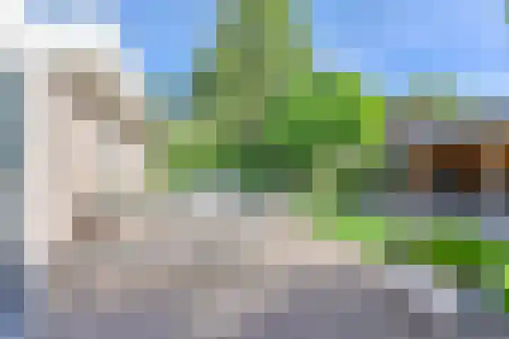Purperreiger 5 Emmen thumbnail 69