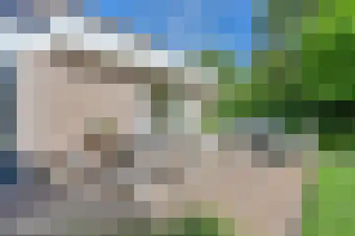 Purperreiger 5 Emmen thumbnail 70