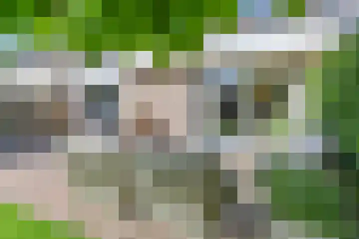 Purperreiger 5 Emmen thumbnail 71