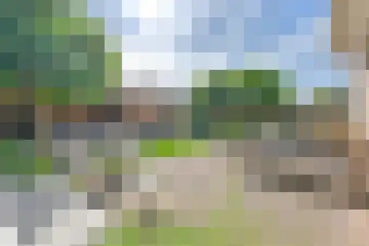 Purperreiger 5 Emmen thumbnail 72