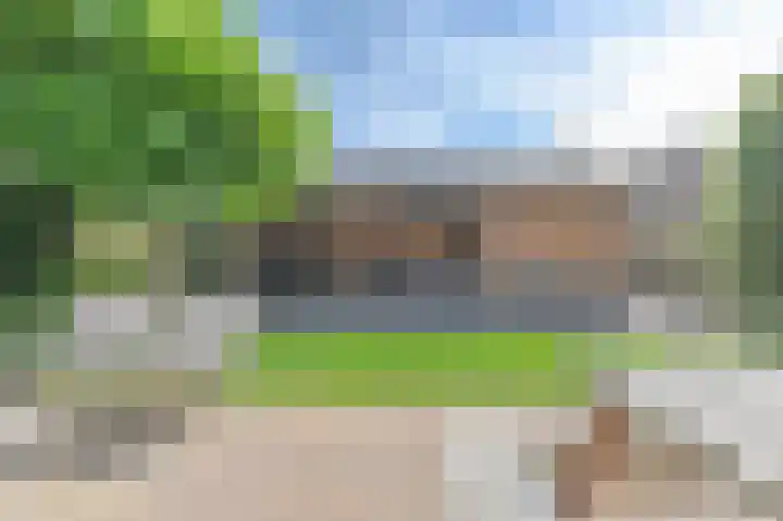 Purperreiger 5 Emmen thumbnail 73