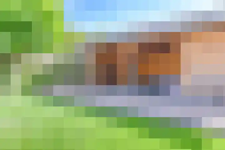 Purperreiger 5 Emmen thumbnail 74