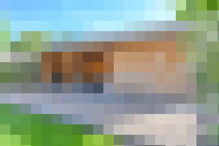 Purperreiger 5 Emmen thumbnail 75