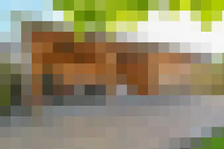 Purperreiger 5 Emmen thumbnail 76